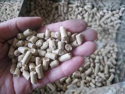 飼料原料采購質(zhì)量標準