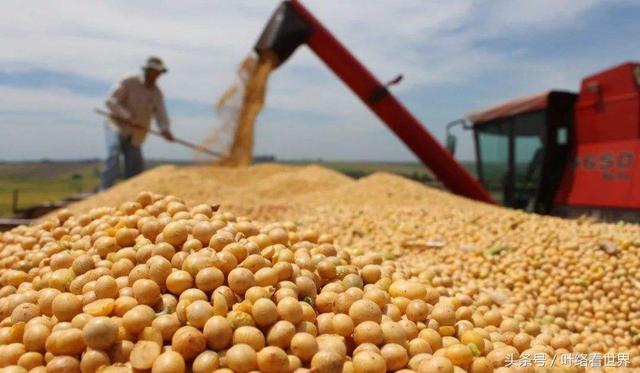 美國(guó)大豆出口大會(huì)閉幕，中國(guó)買家一顆沒(méi)買